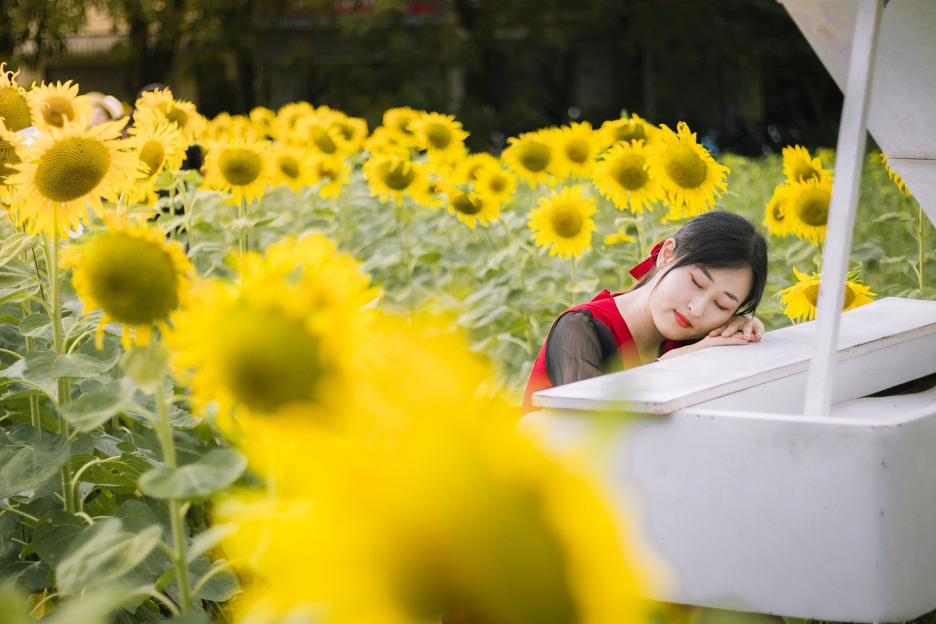 微信網(wǎng)名女生簡單氣質成熟穩(wěn)重