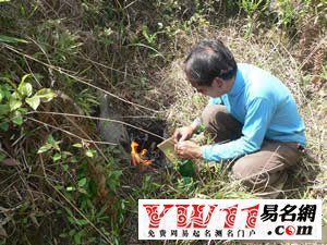 夢見給死去的人燒香上墳