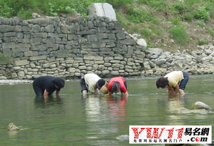 夢見在河里抓魚