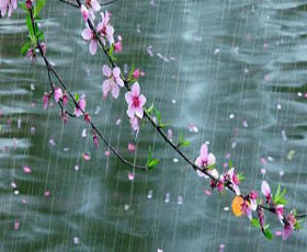 谷雨節(jié)氣各地俗