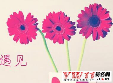 2020最新女生網名大全帶符號