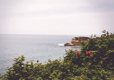 夢見自己手破流血