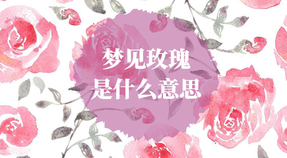 夢見玫瑰花是什么意思