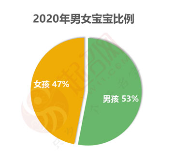 2020年度中國起名大數(shù)據(jù)報(bào)告白皮書