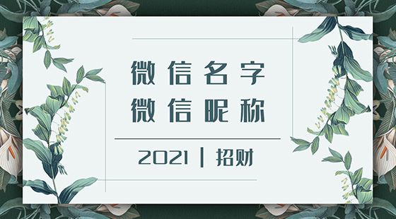 微信名字微信昵稱2021最新招財(cái)