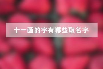 十一畫的字有哪些取名字