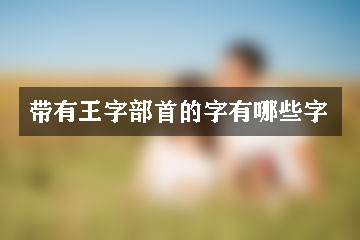 帶有王字部首的字有哪些字