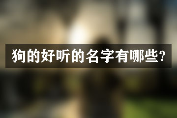 狗的好聽的名字有哪些?