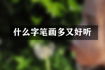 什么字筆畫多又好聽