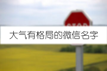 大氣有格局的微信名字