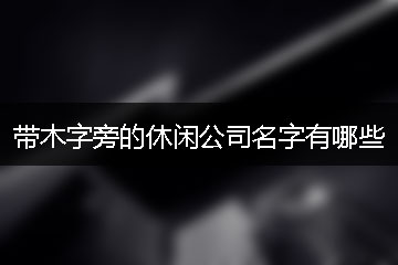 帶木字旁的休閑公司名字有哪些