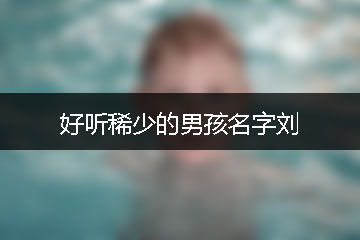 好聽(tīng)稀少的男孩名字劉