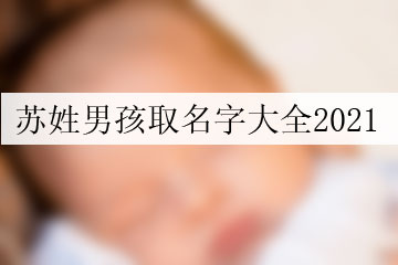 蘇姓男孩取名字大全2021