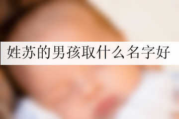 姓蘇的男孩取什么名字好