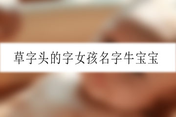 草字頭的字女孩名字牛寶寶