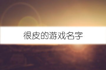 很皮的游戲名字