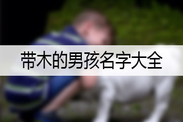 帶木的男孩名字大全