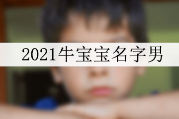 2021牛寶寶名字男