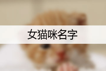 女貓咪名字