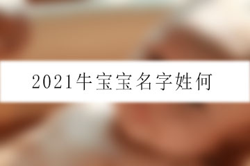 2021牛寶寶名字姓何