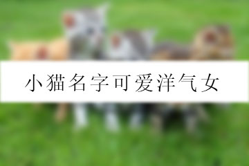 小貓名字可愛洋氣女