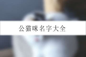 公貓咪名字大全