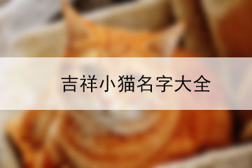 吉祥小貓名字大全