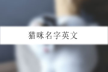 貓咪名字英文