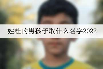 姓杜的男孩子取什么名字2022