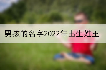 男孩的名字2022年出生姓王