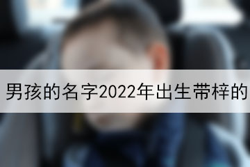 男孩的名字2022年出生帶梓的