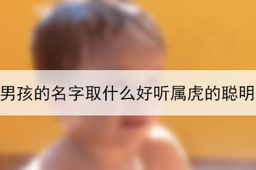 男孩的名字取什么好聽(tīng)屬虎的聰明