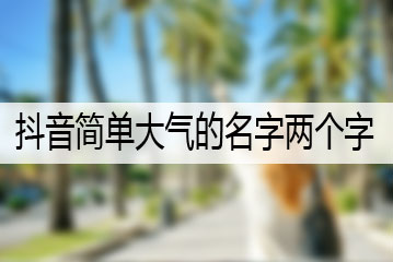 抖音簡單大氣的名字兩個(gè)字