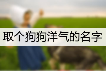 取個(gè)狗狗洋氣的名字