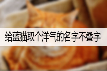 給藍(lán)貓取個(gè)洋氣的名字不疊字