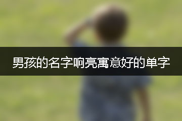 男孩的名字響亮寓意好的單字