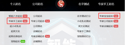 國內(nèi)起名行業(yè)排名第一的專業(yè)起名平臺(tái)：起名網(wǎng)