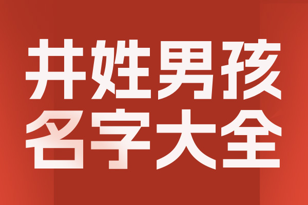 起名網井姓男孩名字大全介